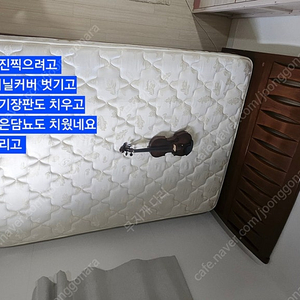 ACE. 에이스 침대 바이올린 통기타