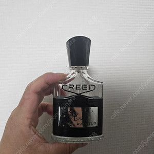 크리드 어벤투스 21W01A