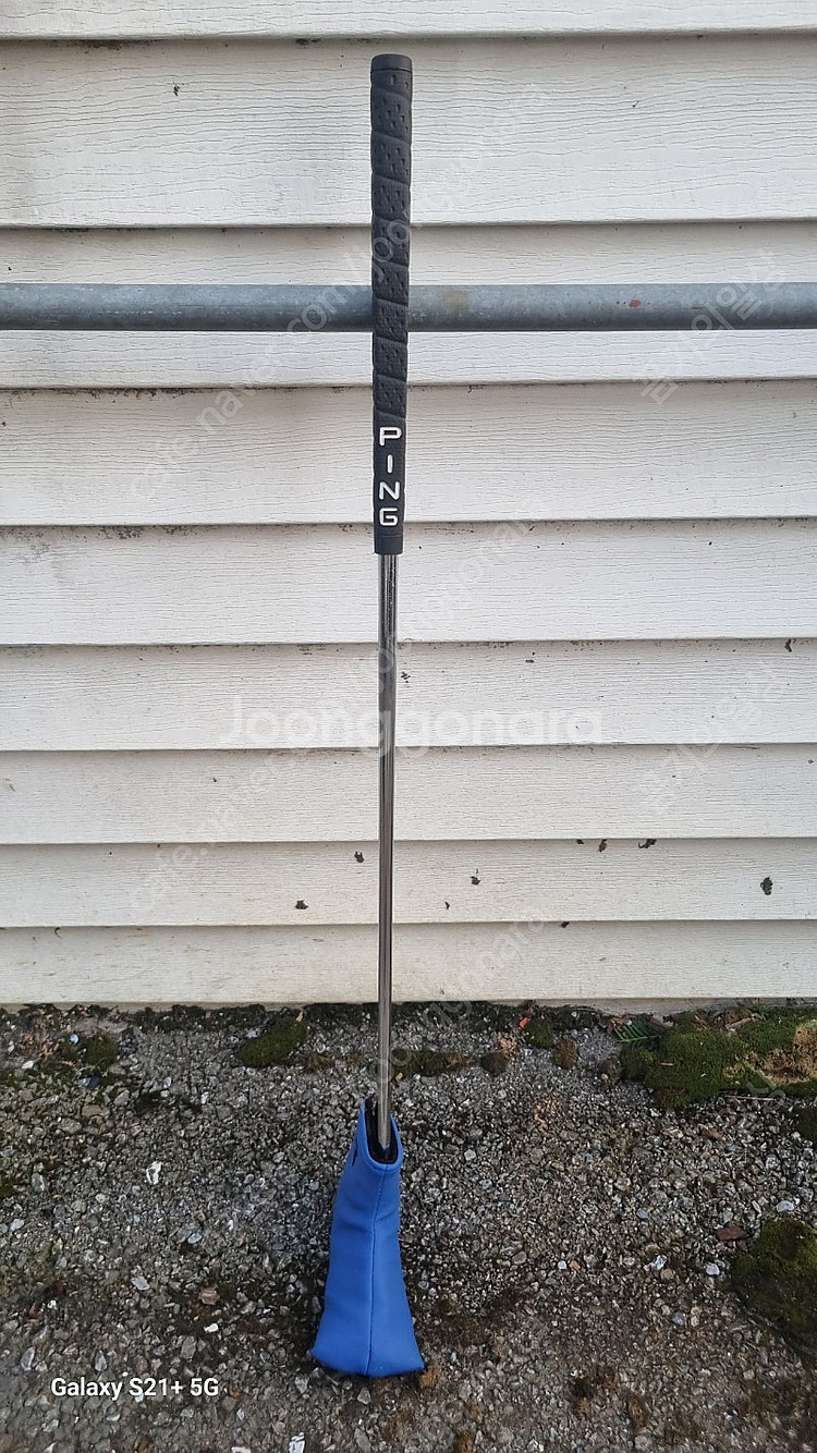 레이쿡 블루구스2 밀드퍼터 팝니다--0