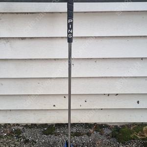 레이쿡 블루구스2 밀드퍼터 팝니다