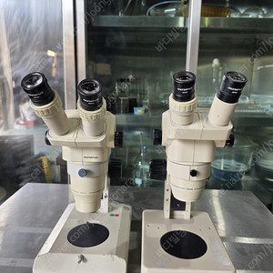중고 Olympus SZ30,SZ11 Stereo Microscope 실체 현미경 팝니다.