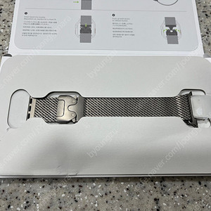 애플워치 티타늄 밀레니즈루프 교환