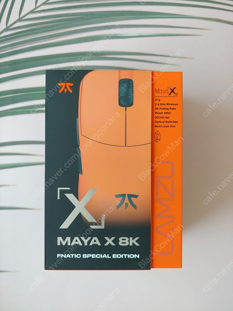 프나틱 마야x 프마야--1