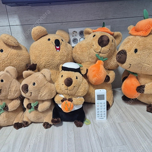 (새제품)쿼카인형들 팝니다.