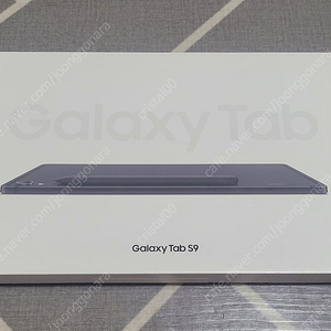 갤럭시탭 S9 그라파이트 S급 (새액정 교체품)