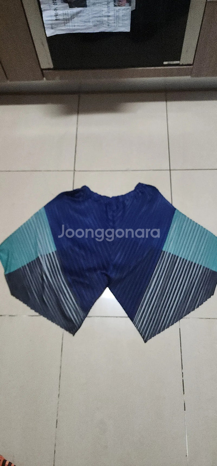 플리츠플리즈 반바지/ 이세이미야케 와이드팬츠--0