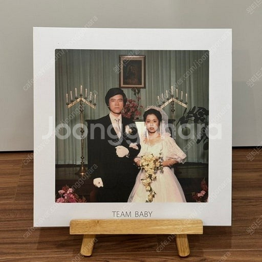 검정치마 team baby LP--0