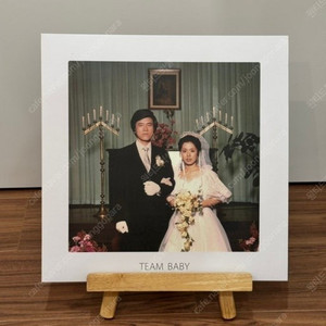 검정치마 team baby LP