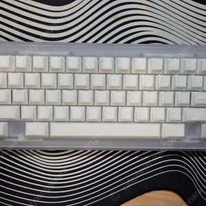 Protagonist(프로타고니스트) X-ray Edition WKL