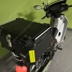 시티베스트115