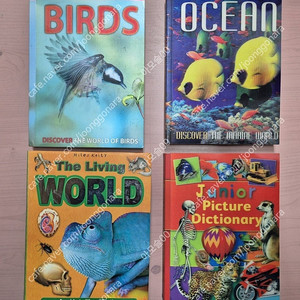 영어원서 마일즈 켈리(Miles Kelly) 4권 택포