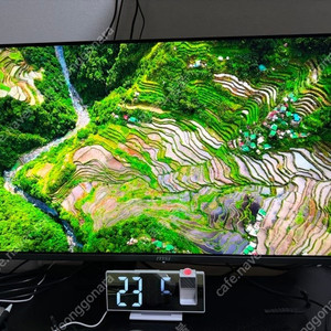 MSI MPG 321URX QD-OLED 240 4K UHD