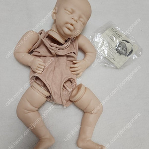 리본돌kit 패브릭바디