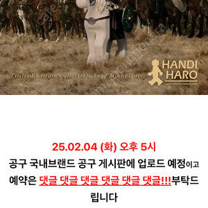 핸디하로 에오메르 v2 구매합니다