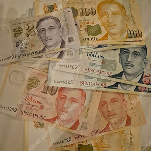 싱가포르달러 SGD