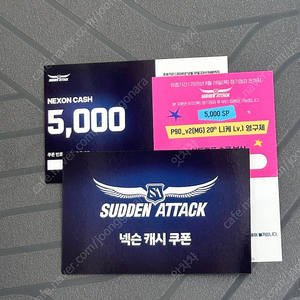 서든어택 성수 서든 니케 +캐시 쿠폰 5000sp + 골드 컨태이너 키카드