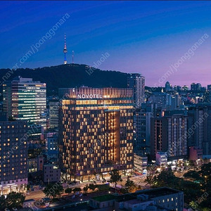 노보텔 동대문 금일 숙박 양도해요!
