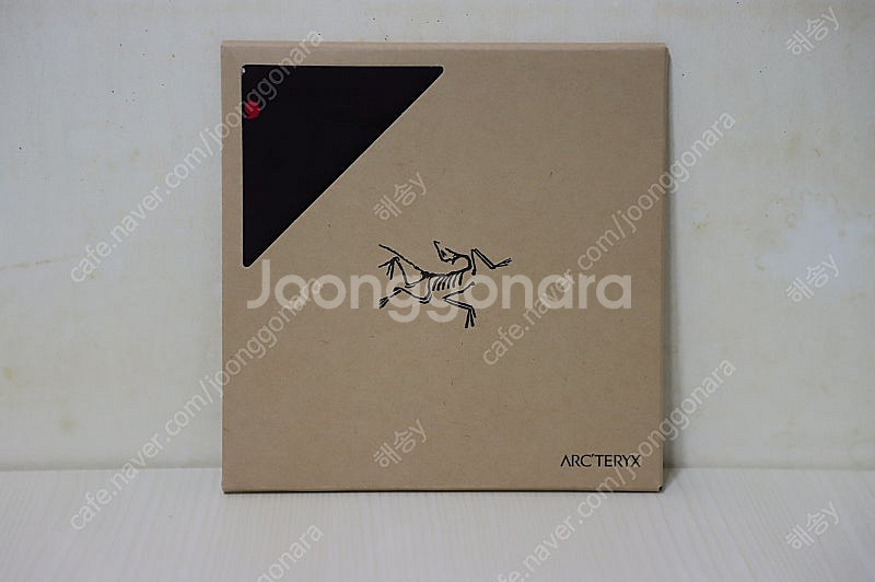 Arc'teryx Handkerchief And Sca...--1