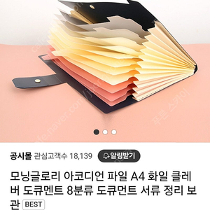 모닝글로리 아코디언 파일 A4 화일 클레버 도큐멘트 8분류 도큐먼트 서류 정리 보관BEST