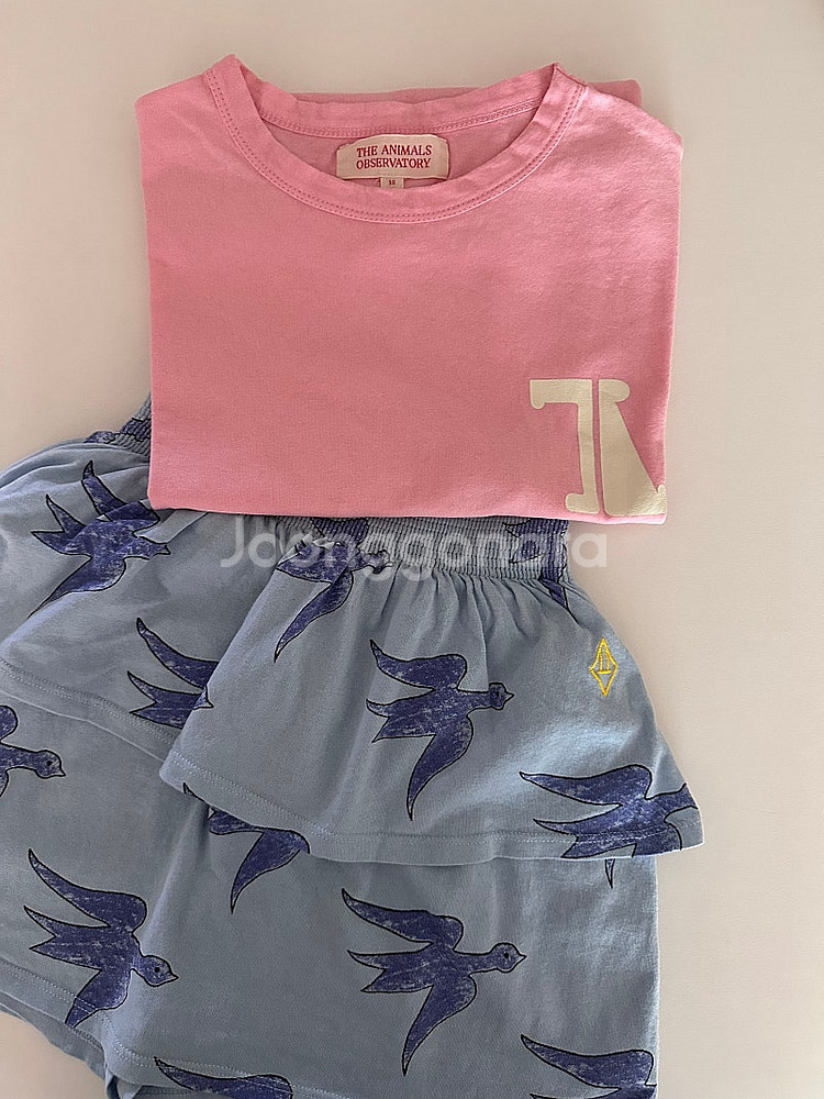 타오 버드 키위스컷 10y+로고티 10y--0