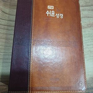 큰글 쉬운성경 (아가페 )