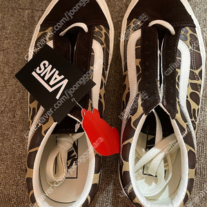 반스 호피, 콜롬비아 이스케이프 쓰라이브 인듀어, 클락스 남자 Bushacre2 데저트 처카부츠, 잭 울프스킨 잭슨 로우 M, 나이키 조던 에어 쉽 SP 파인그린