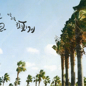 고장난 끌랑 및 사일런스 기타 삽니다 이미지