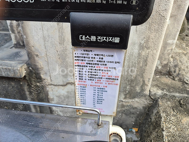 업소용 전자 저울--1