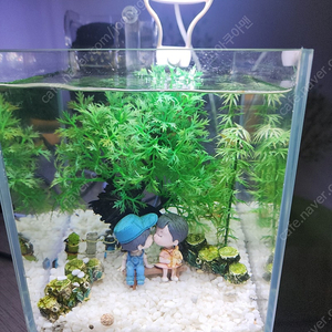 프롭고즈 베타어항