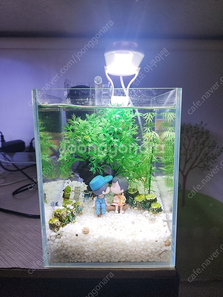 프롭고즈 베타어항--4