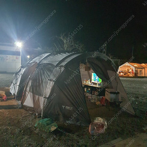 제드 티맥스 리빙쉘(무배)