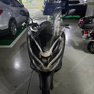 PCX125 19년식 95428km