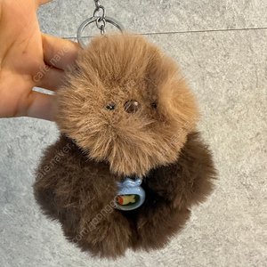 아무로키 수달 키링