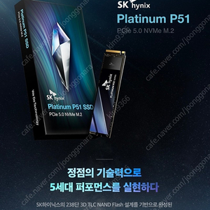 SK hynix Platinum P51 NVMe M.2 [ 1TB ] 미개봉.