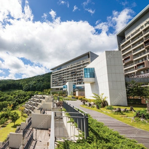 하이원리조트 9/13토~ 9/15월 2박(1박도 가능) 마운틴콘도 디럭스 또는 그랜드디럭스 양도