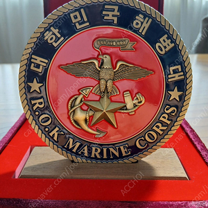 해병대 대코인 (군코인)