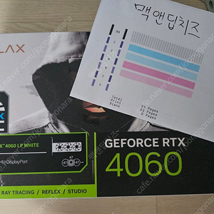갤럭시 RTX4060 LP 화이트