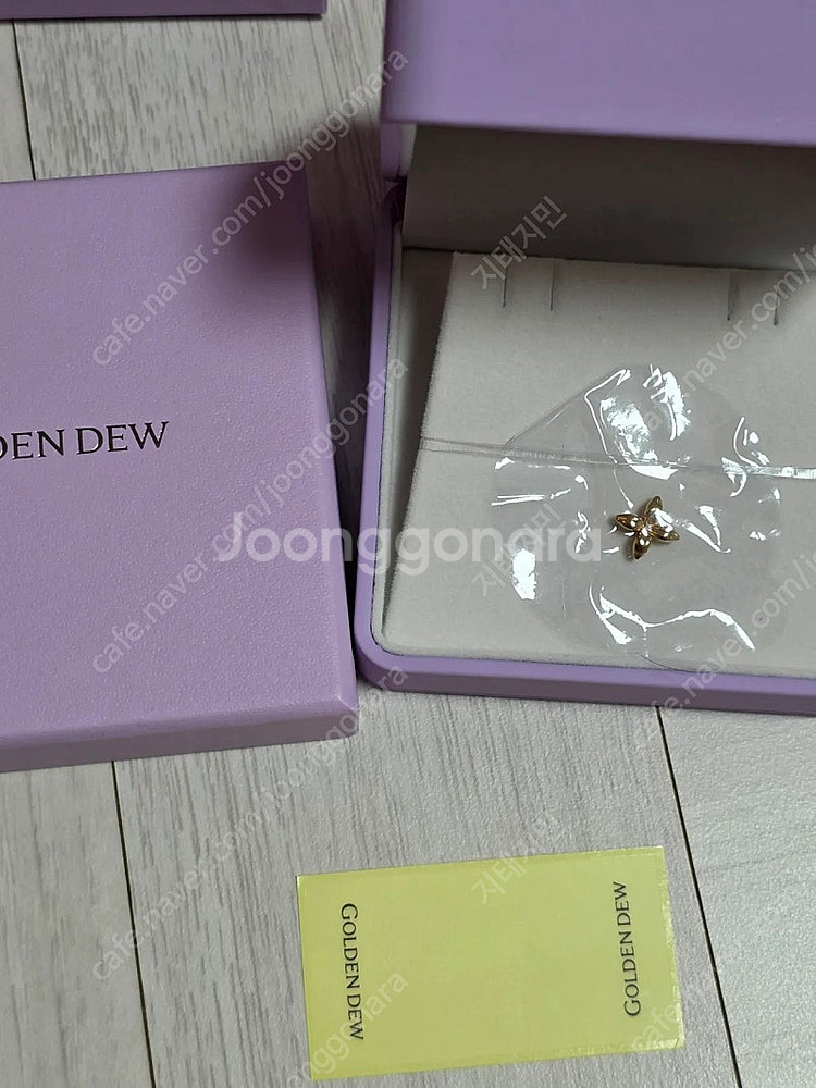 골든듀 펄시피아 쁘티 로골 & 리라인16--0