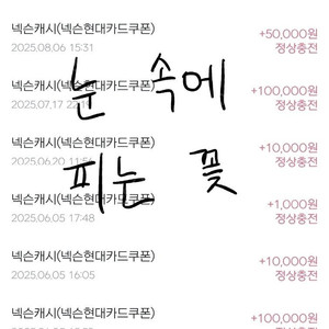 충전된 넥슨캐시 팝니다