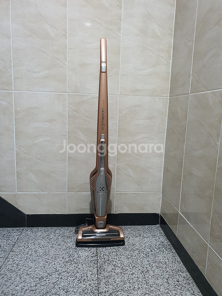 ELECTROLUX 일렉트로룩스 무선청소기--0