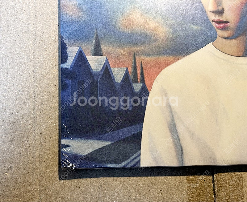 트로이시반 1집 블루 네이버후드 핑크 lp 한정판 미개...--2