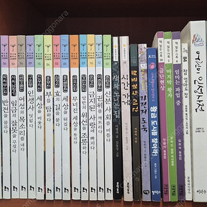 초등고학년 (5~6학년) 문학 ,기타단행본 26권 .