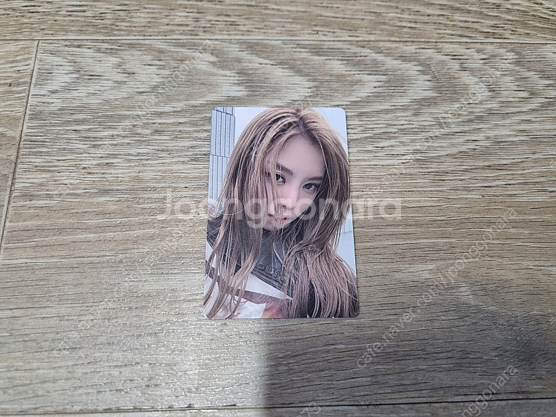 올데이 프로젝트 베일리 포카 팝니다--0
