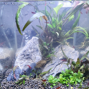 미니 수초 어항