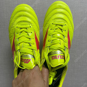 미즈노 모렐2 재팬 md 270