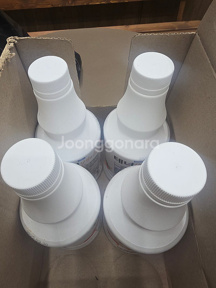 매일 딸기테너 베이스--0