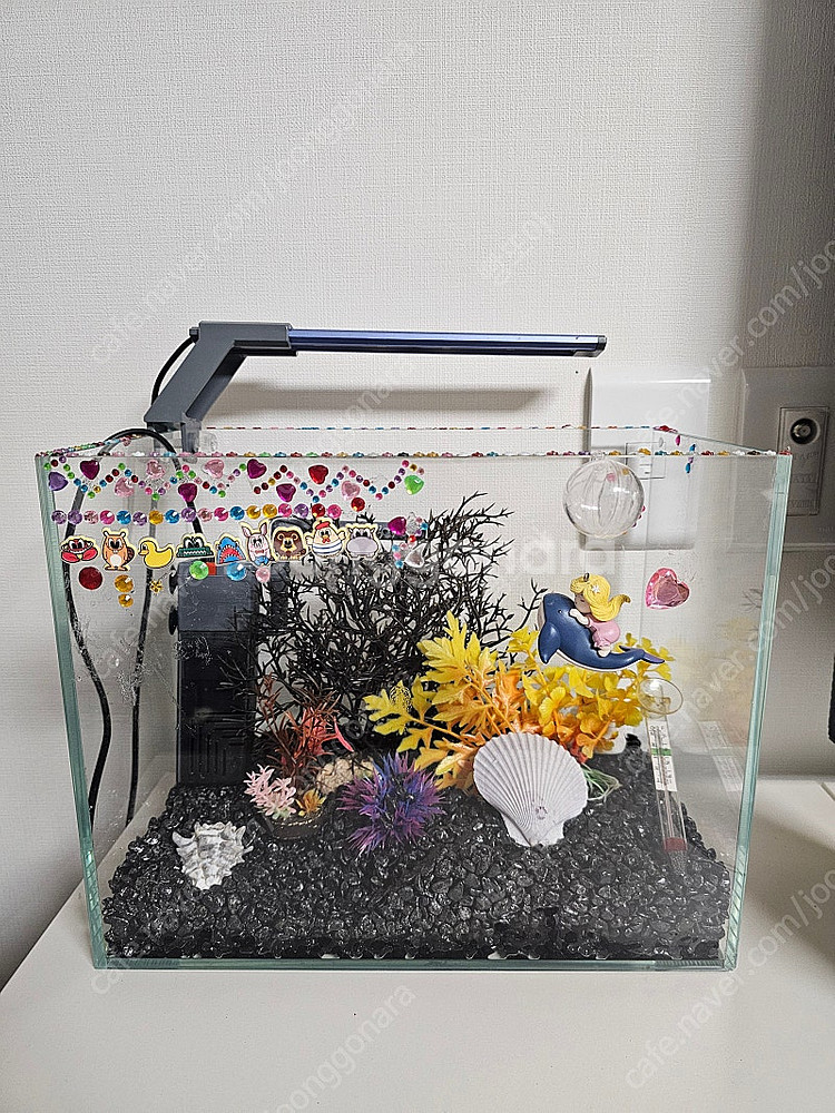 어항 세트 판매합니다--1