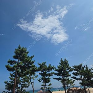 3구역5열