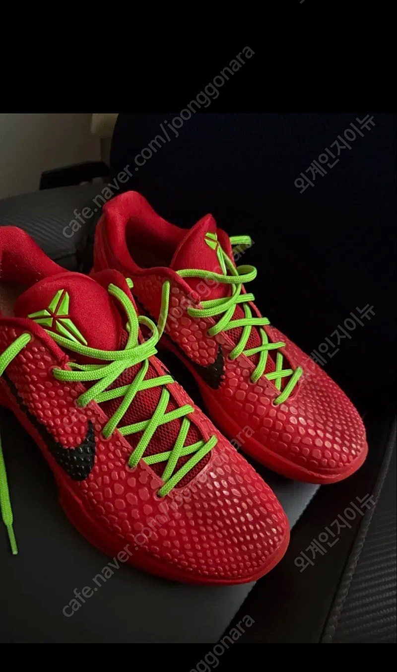 (270)코비6 리버스 그린치