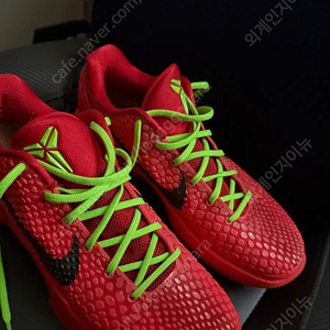 (270)코비6 리버스 그린치